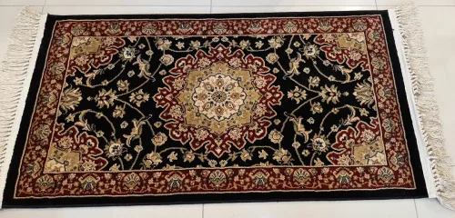 D_NQ_NP_2X_626012-MLB83394403717_032025-F-tapete-egipcio-saveh-067-x-120-m